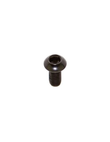 Brake Disc Rotor Bolt M5x10mm Black.